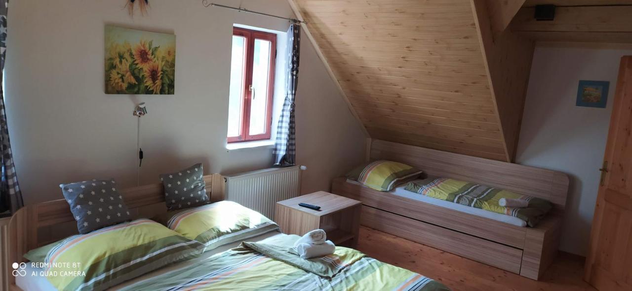 Apartmany Natalie Dvory nad Luznici Exterior foto